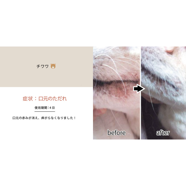 CARESUI（ケアスイ）濃縮温泉水 