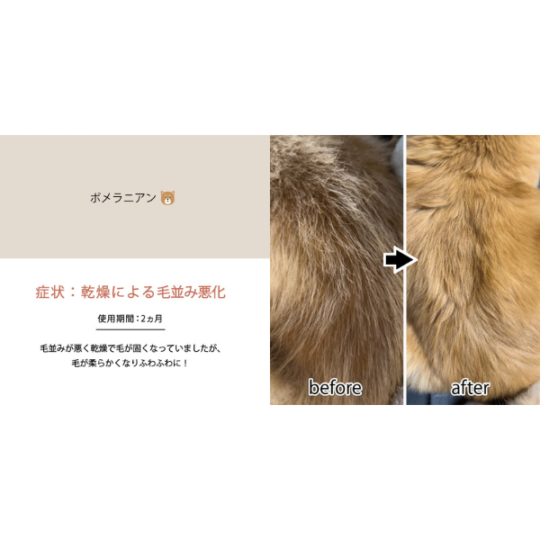 CARESUI（ケアスイ）濃縮温泉水 