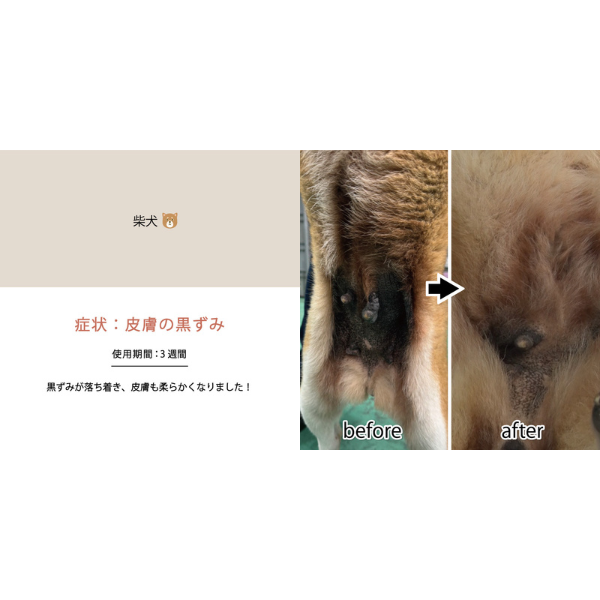 CARESUI（ケアスイ）濃縮温泉水 