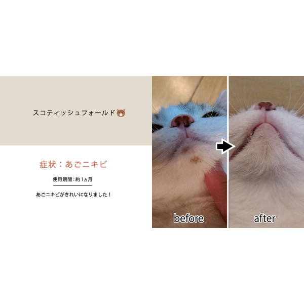 CARESUI（ケアスイ）濃縮温泉水 