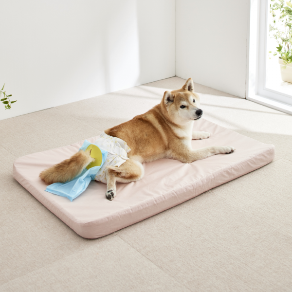 うんこパンツ Lサイズ着用