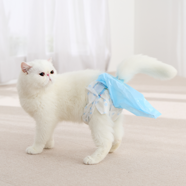 うんこパンツ Sサイズ着用