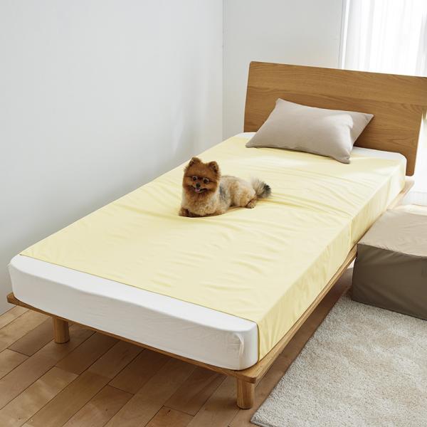 あんしん防水シーツ 人用ベットに。/150×90cm２枚使用。