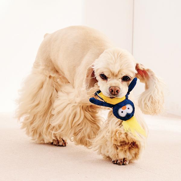 スクイーカートイ ペンギン