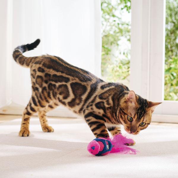 サウンドチップトイ バード