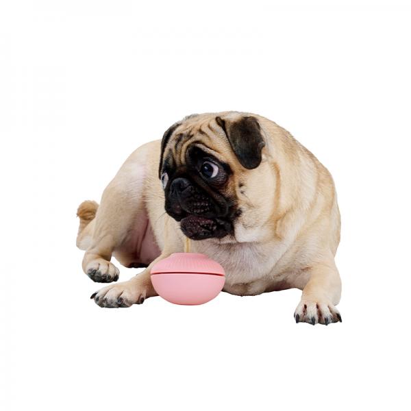 カムコ　トリーツホルダー え！？