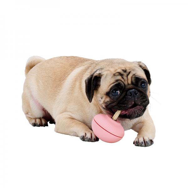 カムコ　トリーツホルダー ピンク