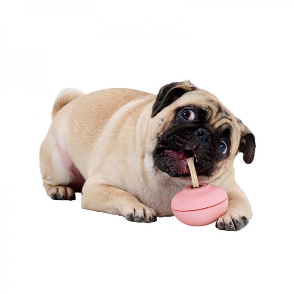 カムコ　トリーツホルダー え？もう終わり！？