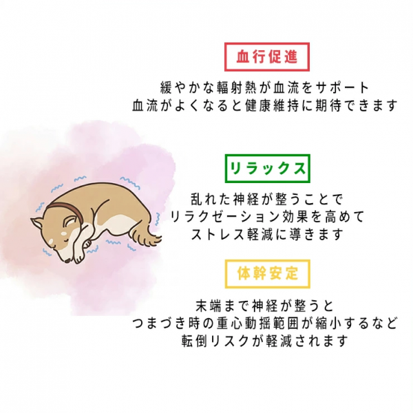 スパオールウェア ＵＣＬＡ 