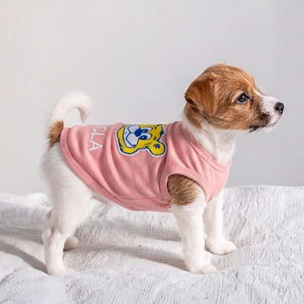 スパオールウェア ＵＣＬＡ ピンク
