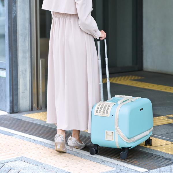 ＯＳＯＴＯ　コロフィー 外から愛犬が見えないので移動中や人混みも安心。