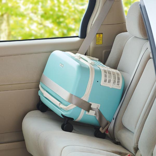 ＯＳＯＴＯ　コロフィー 座席に固定できて車での移動も安心。