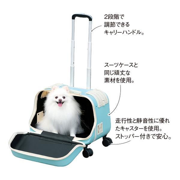 ＯＳＯＴＯ　コロフィー M・アクア