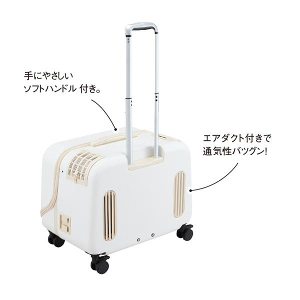 ＯＳＯＴＯ　コロフィー L・ミルク