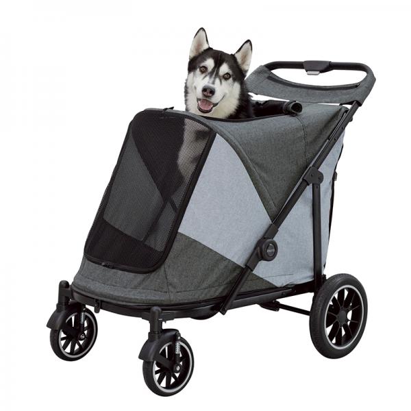 ＯＳＯＴＯ　ＧＯ　グランデ 