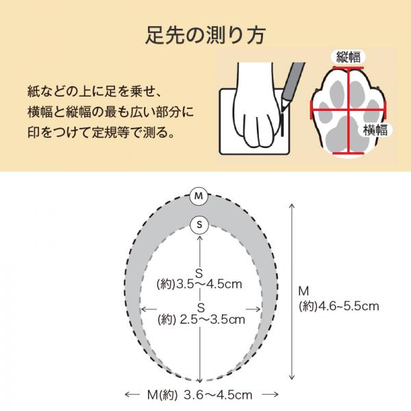 パウラップ 