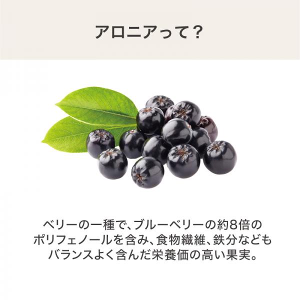 ナチュラルバイツ　アロニア 
