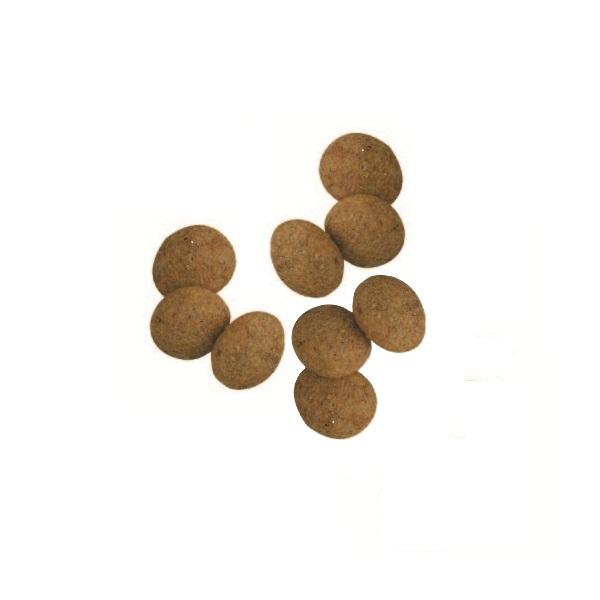 ペットライン プロフェッショナルバランス　１歳から 