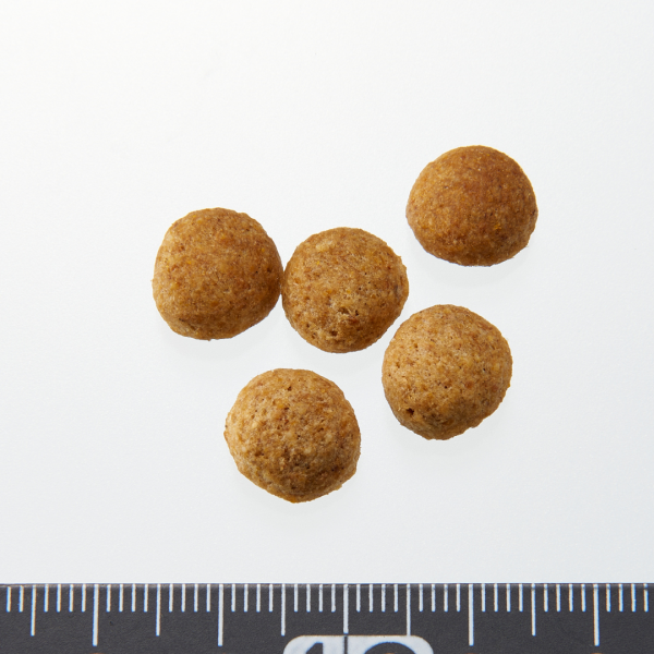 ペットライン プロフェッショナルバランス　１歳から 