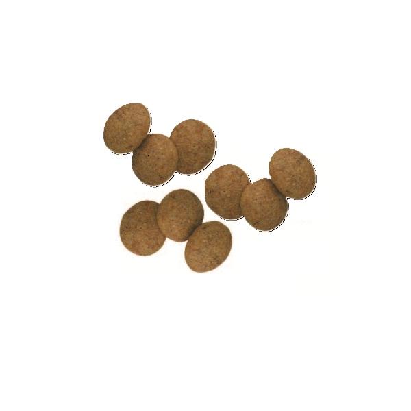 ペットライン プロフェッショナルバランス　７歳から 