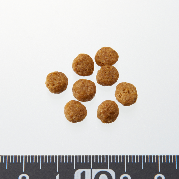 ペットライン プロフェッショナルバランス　超小粒　１歳から 