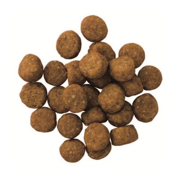 ペットライン プロフェッショナルバランス　超小粒　１歳から 