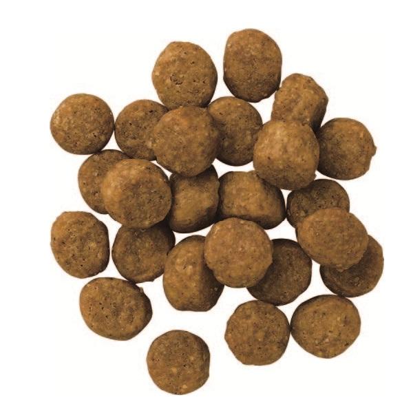 ペットライン　プロフェッショナルバランス　超小粒　１歳から体重管理 