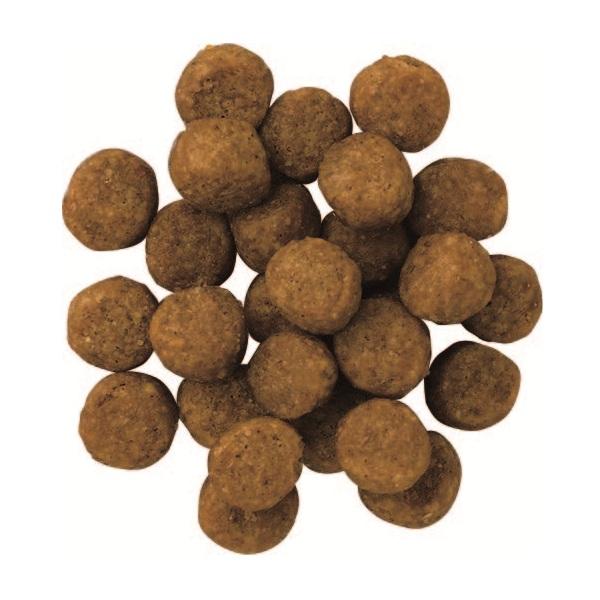 ペットライン プロフェッショナルバランス　超小粒　７歳から 