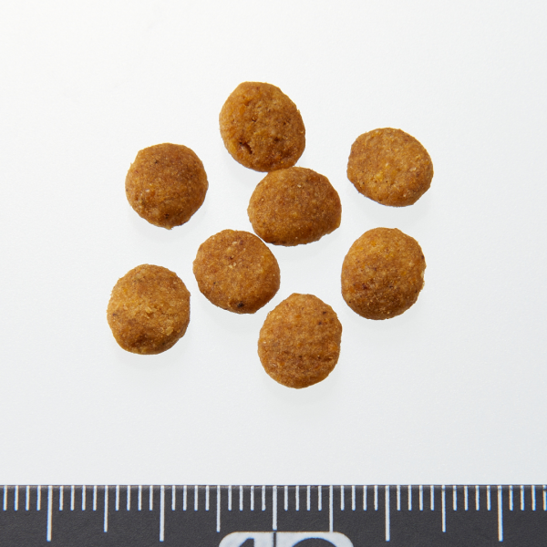 ペットライン プロフェッショナルバランス　愛猫用腎臓の健康維持 