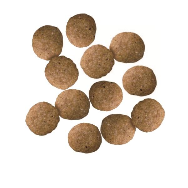 プロフェッショナルバランス エクストラケア 体重管理用 