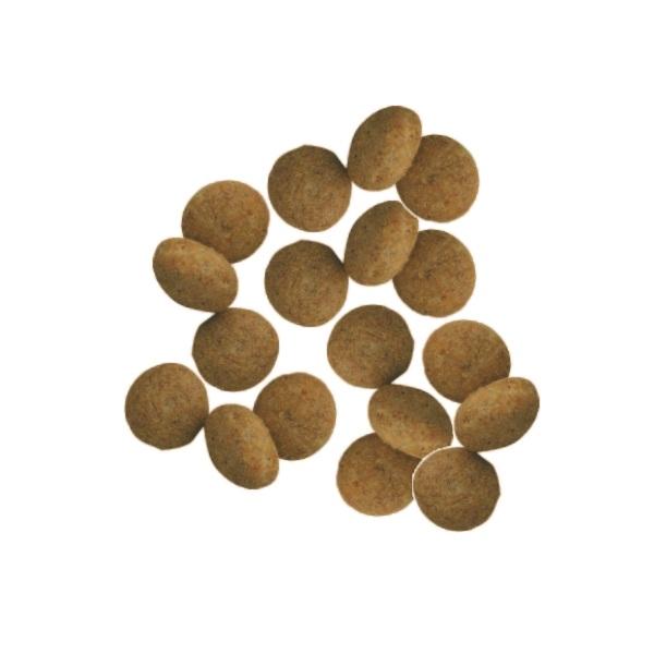 プロフェッショナルバランス エクストラケア　腎臓・心臓の健康維持 