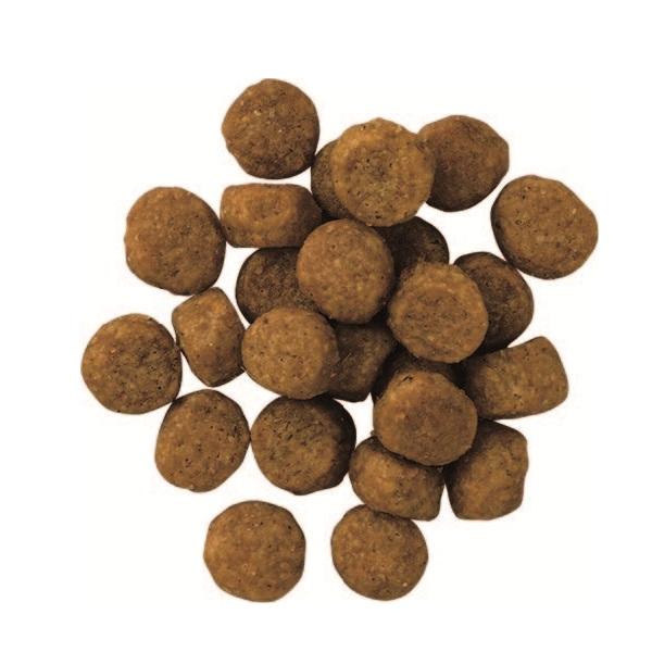 プロフェッショナルバランスエクストラケア　腎臓・心臓の健康維持　超小粒 