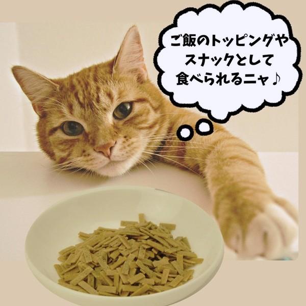 猫にやさしい　歯磨きサポート 