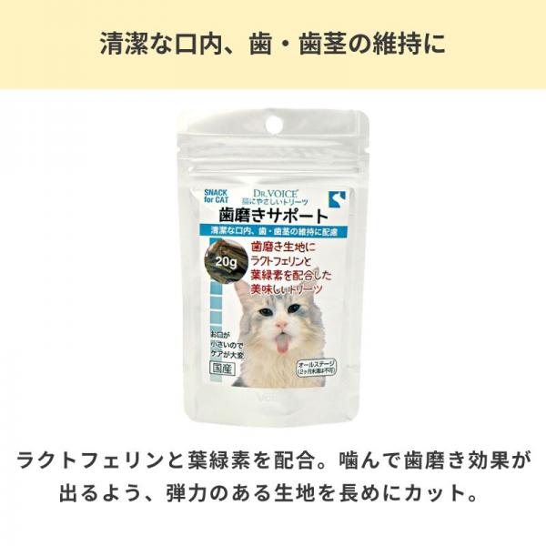 猫にやさしい　歯磨きサポート 