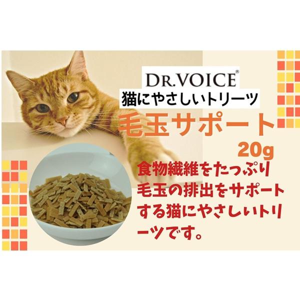 猫にやさしい　毛玉サポート 