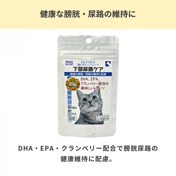 猫にやさしい　下部尿路ケア 