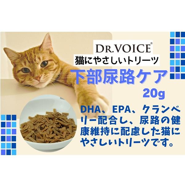 猫にやさしい　下部尿路ケア 