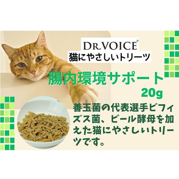 猫にやさしい　腸内環境サポート 