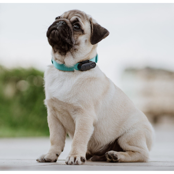 チックレス　ＵＳＢタイプ ブラック