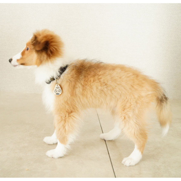 チックレス  バッテリータイプ ベージュ