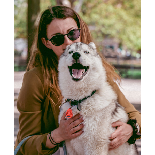 チックレス  バッテリータイプ オレンジ