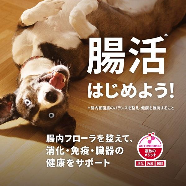 サイエンスダイエット アダルト１－６歳　小粒 成犬用　チキン 