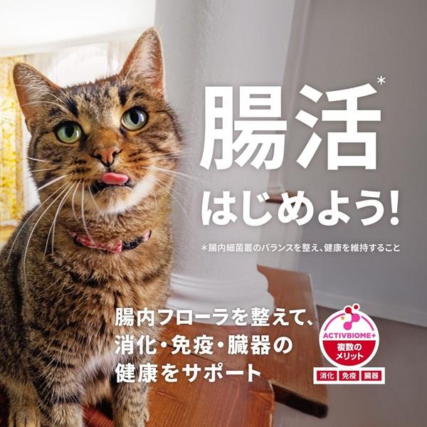 サイエンスダイエット　シニア７歳以上　高齢猫用　チキン 