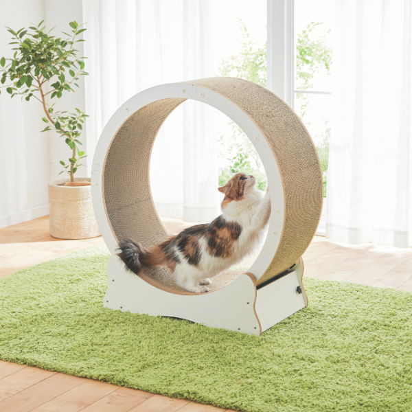 キャットホイール 