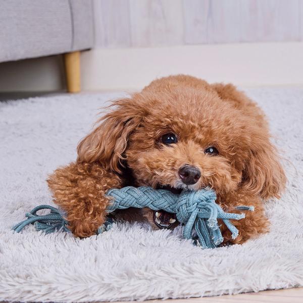 デニムデンタルロープ SS