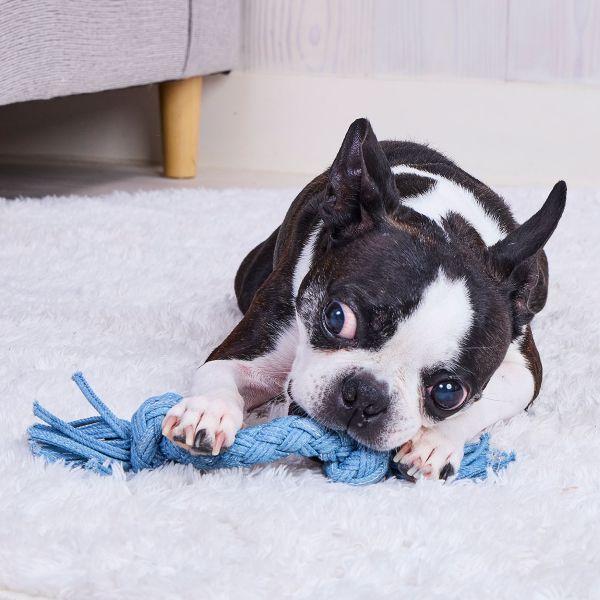 デニムデンタルロープ S