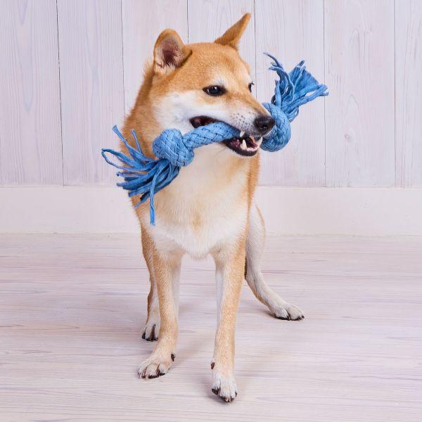 デニムデンタルロープ M