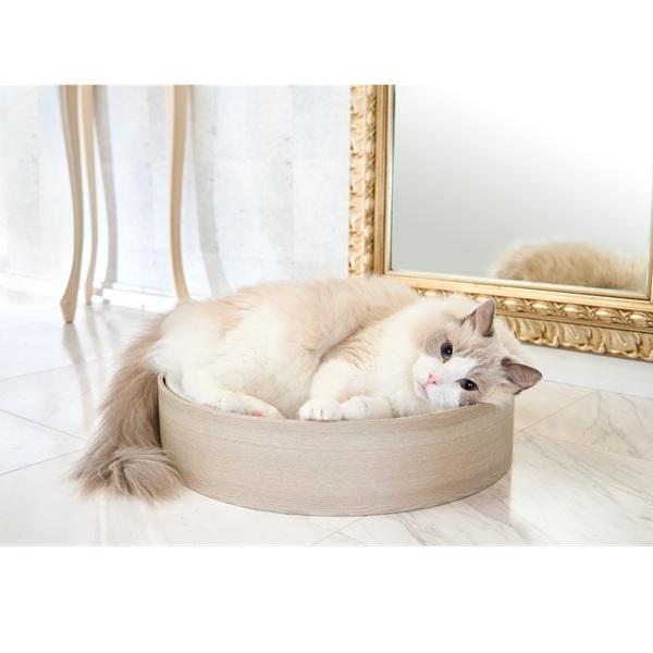 ガリガリスイート　ディッシュ 