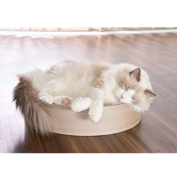 ガリガリスイート　ディッシュ 