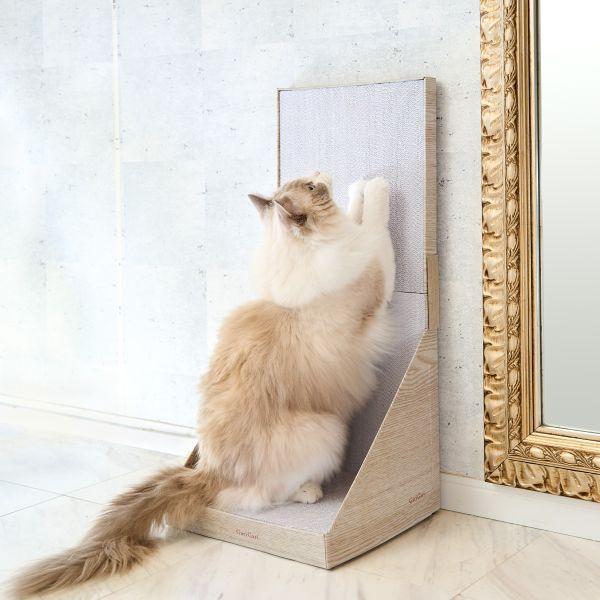 ガリガリスイート　ウォール 